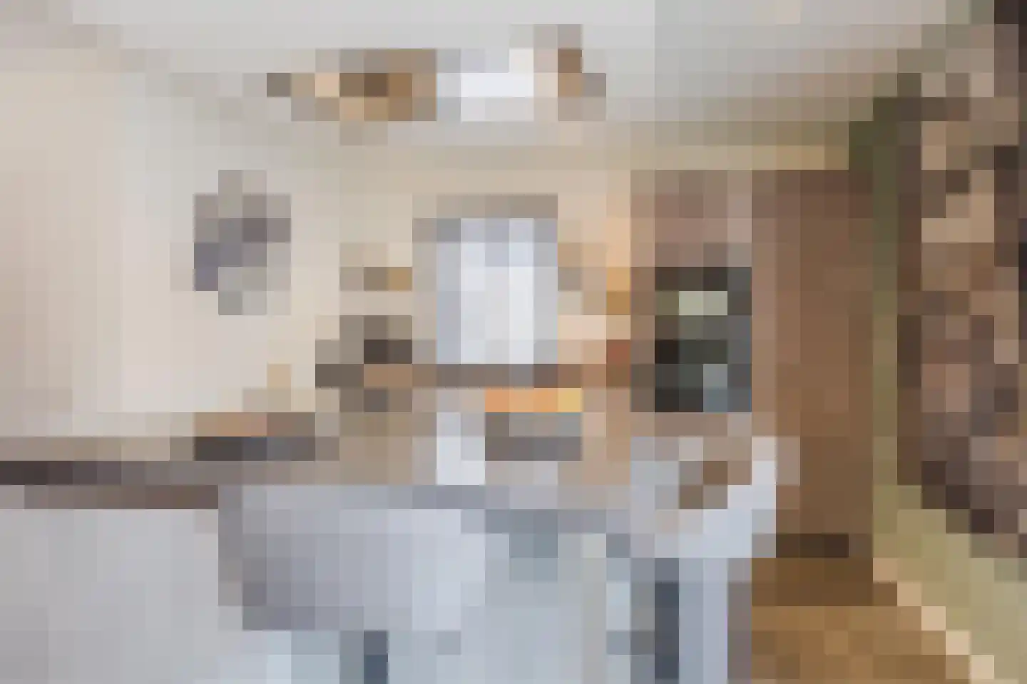 Bachplein 8 Raamsdonksveer thumbnail 7