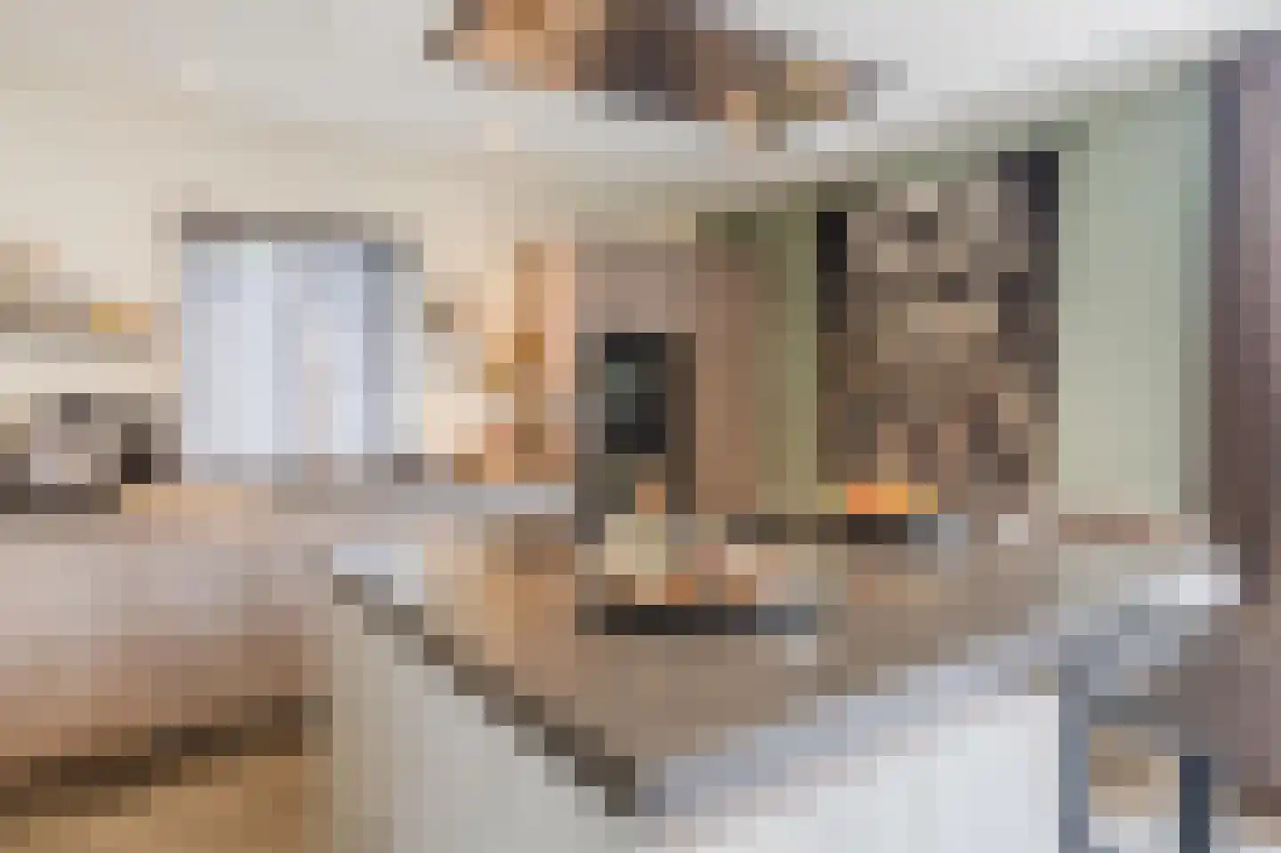 Bachplein 8 Raamsdonksveer thumbnail 8