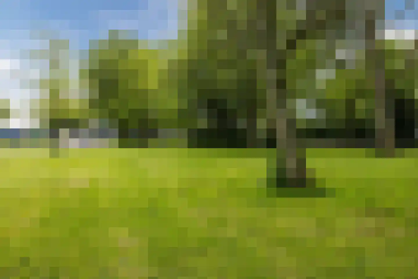 Bachplein 89 Schiedam thumbnail 38