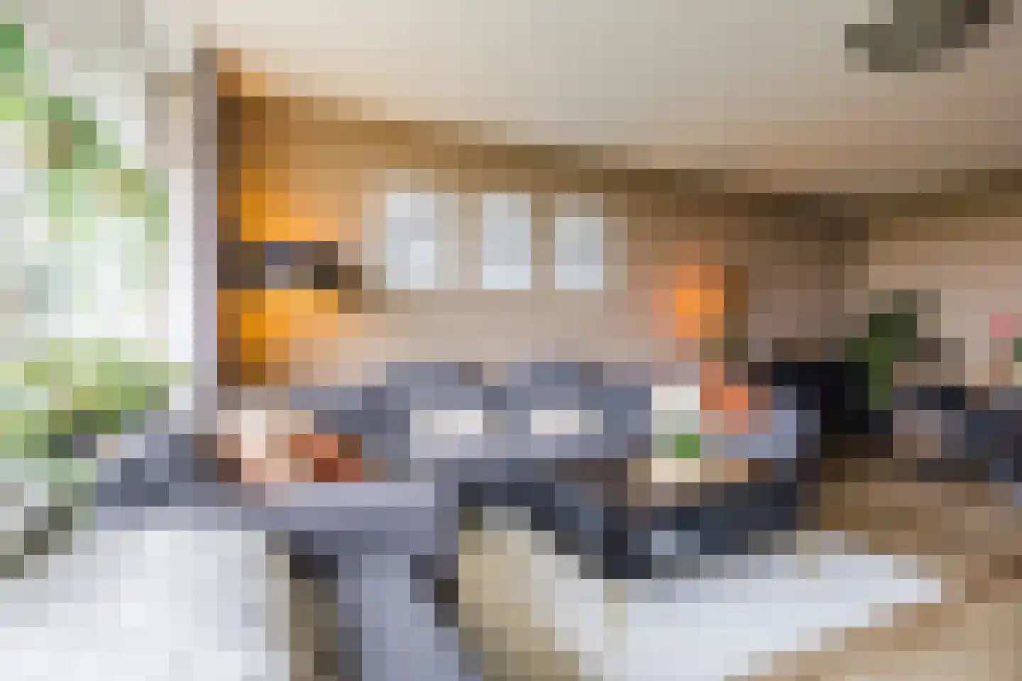 Bachplein 89 Schiedam thumbnail 7