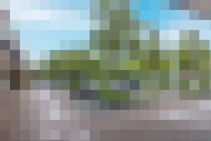 Bachplein 9 Heemskerk thumbnail 22