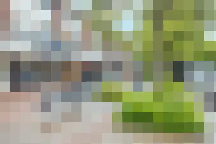 Bachplein 9 Heemskerk thumbnail 23