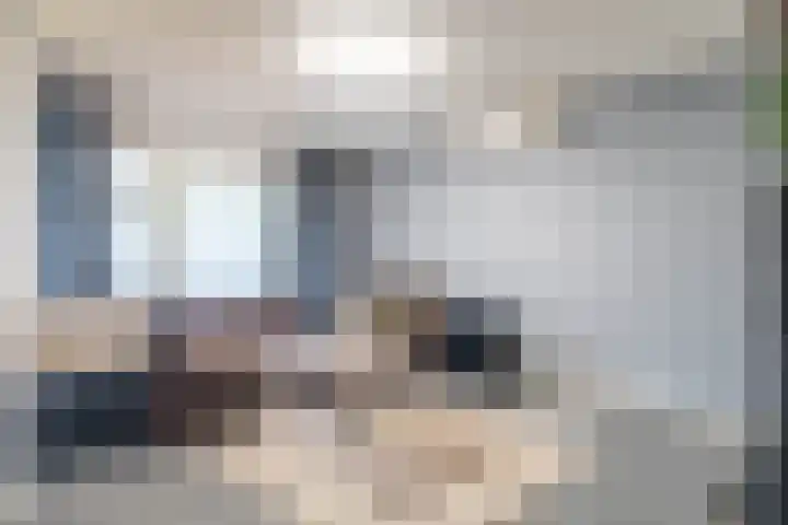 Bachplein 9 Heemskerk thumbnail 6