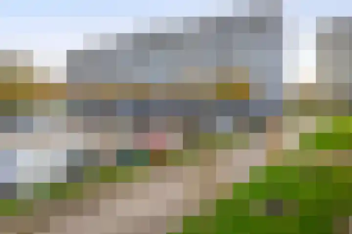 Bachplein 92 Schiedam thumbnail 30
