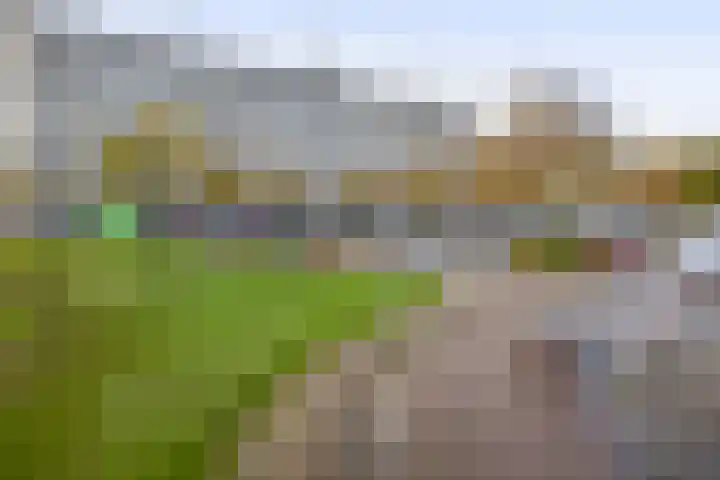 Bachplein 92 Schiedam thumbnail 31