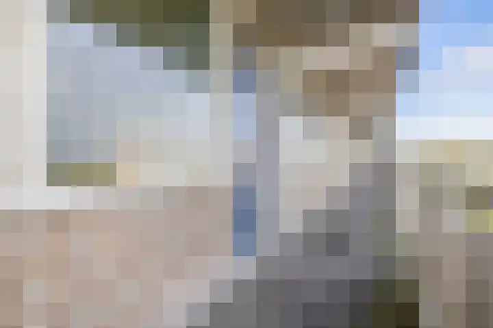 Bachplein 92 Schiedam thumbnail 7
