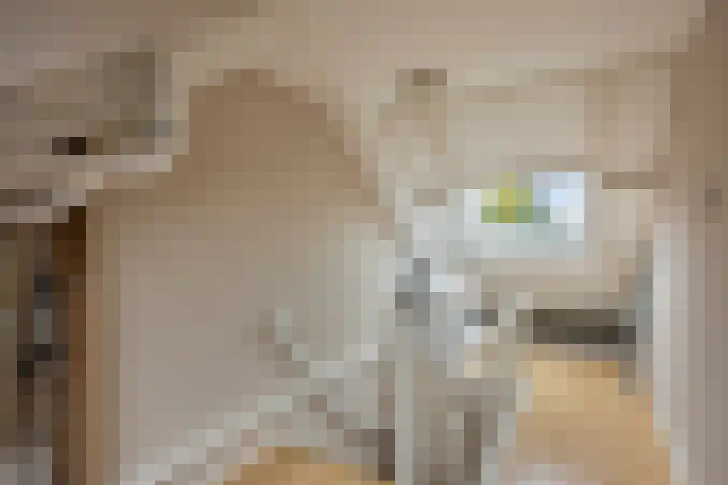 Bachsingel 57 Alphen aan den Rijn thumbnail 33