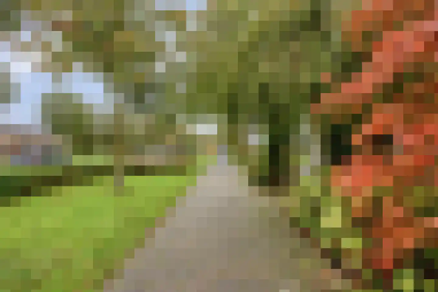 Bachsingel 57 Alphen aan den Rijn thumbnail 45