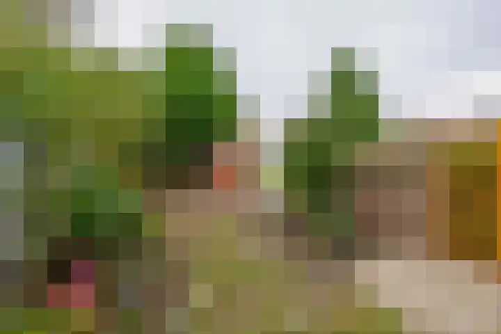 Bachstraat 1 Vlaardingen thumbnail 5