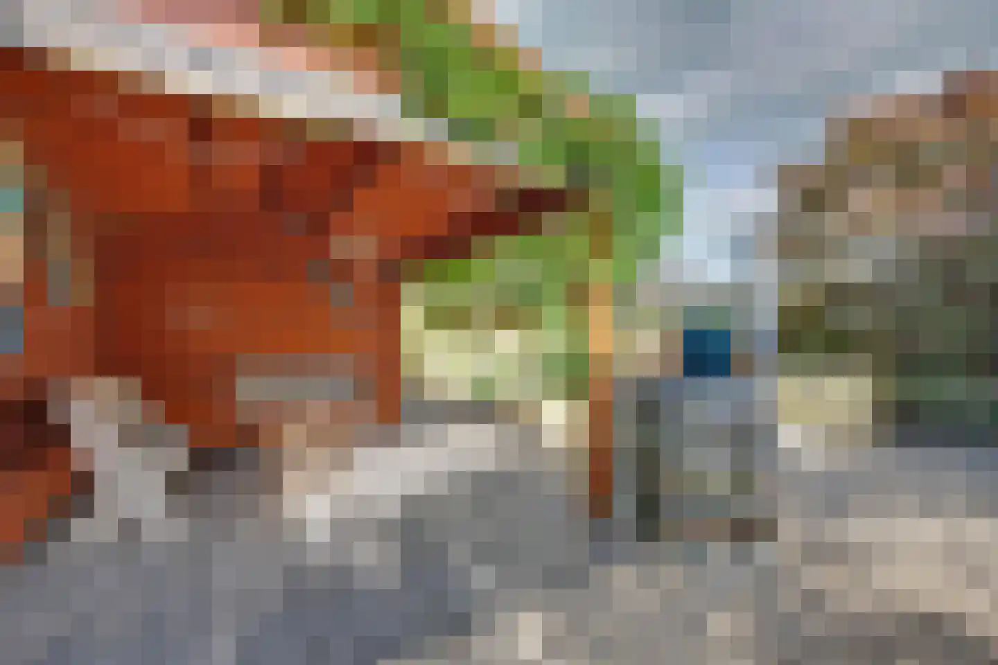 Bachstraat 105 Zevenaar thumbnail 30
