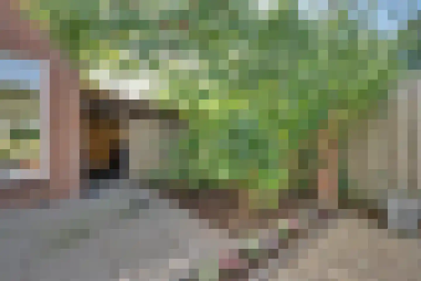 Bachstraat 105 Zevenaar thumbnail 32