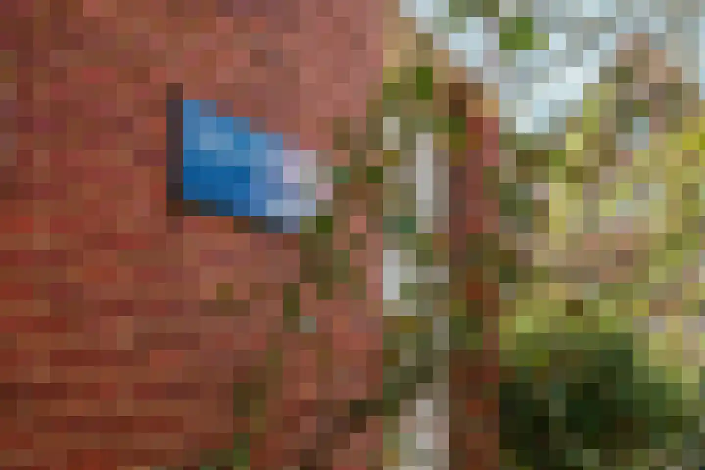 Bachstraat 11 Amsterdam thumbnail 17