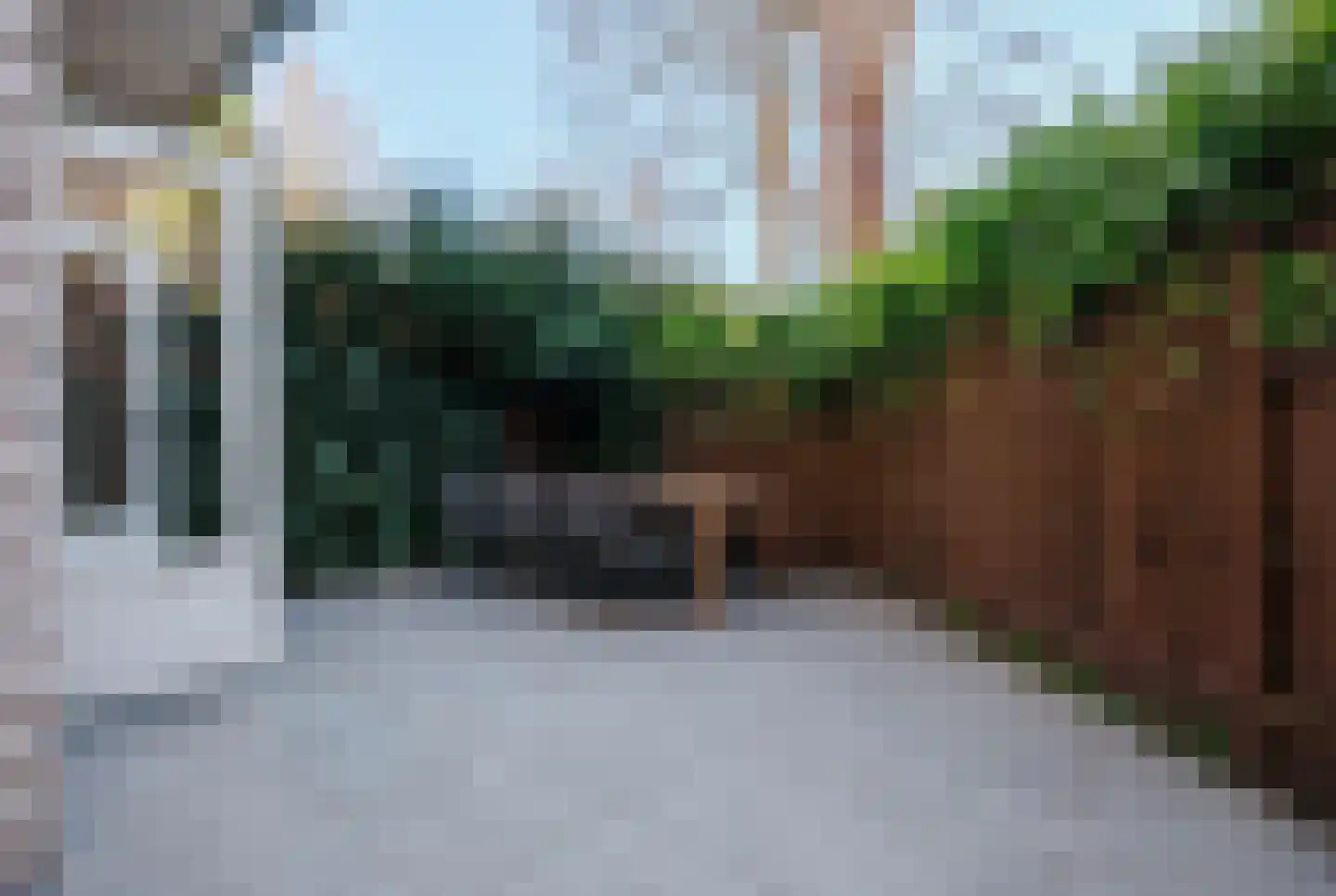 Bachstraat 11 Amsterdam thumbnail 19