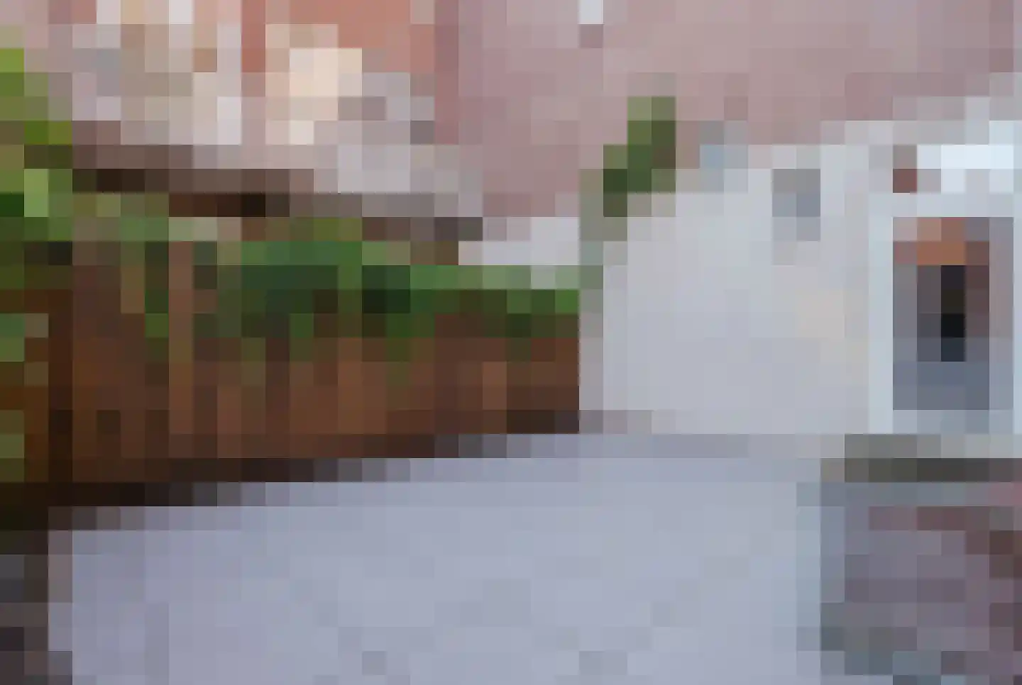 Bachstraat 11 Amsterdam thumbnail 20