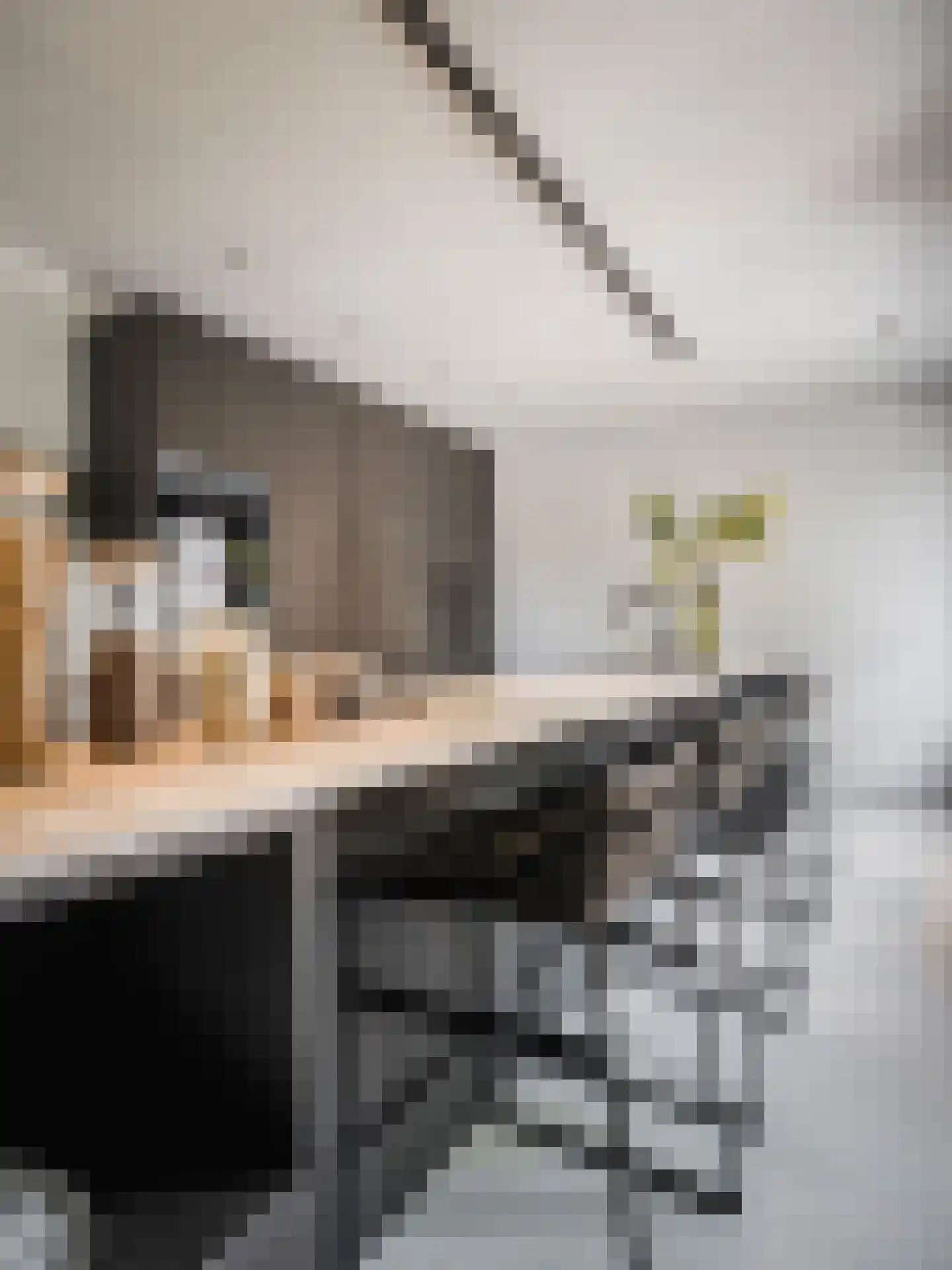 Bachstraat 11 Amsterdam thumbnail 6