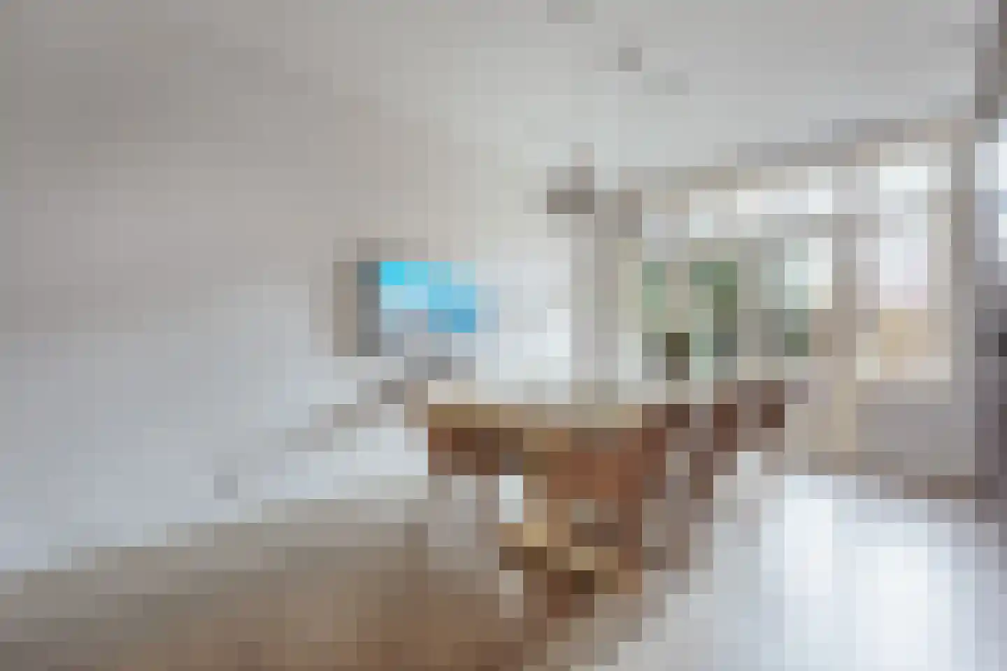 Bachstraat 11 Amsterdam thumbnail 7