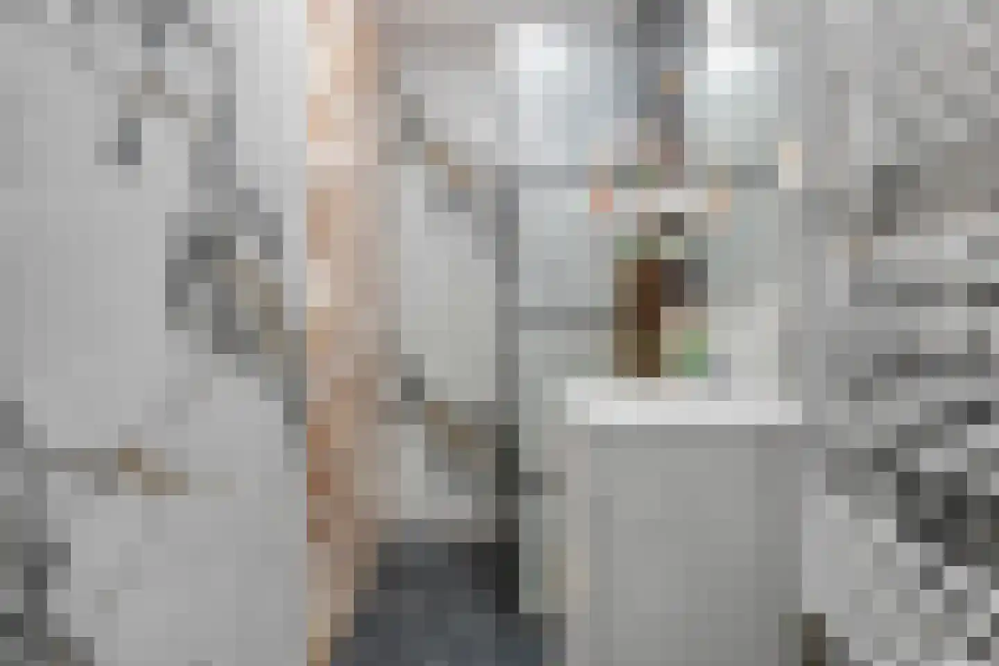 Bachstraat 11 Heemskerk thumbnail 17