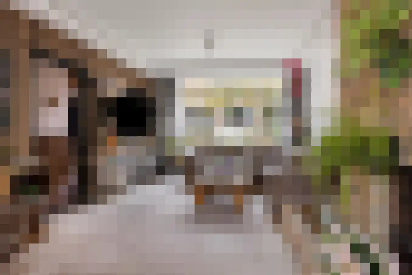 Bachstraat 11 Heemskerk thumbnail 4