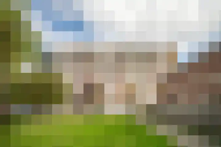 Bachstraat 124 Leiden