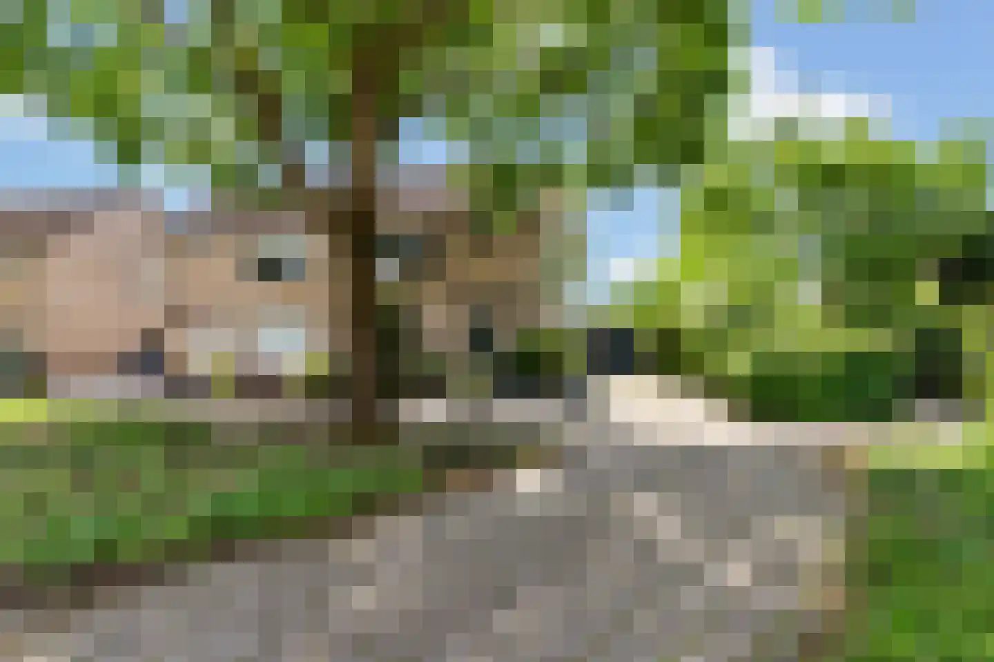 Bachstraat 131 Eerbeek thumbnail 13