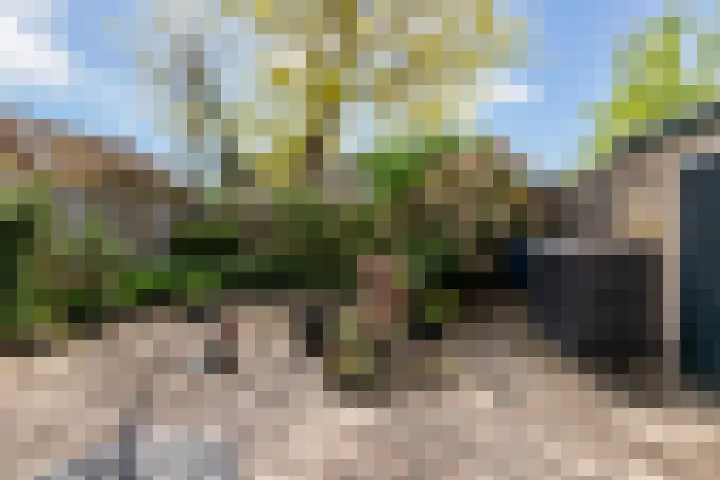 Bachstraat 131 Eerbeek thumbnail 41