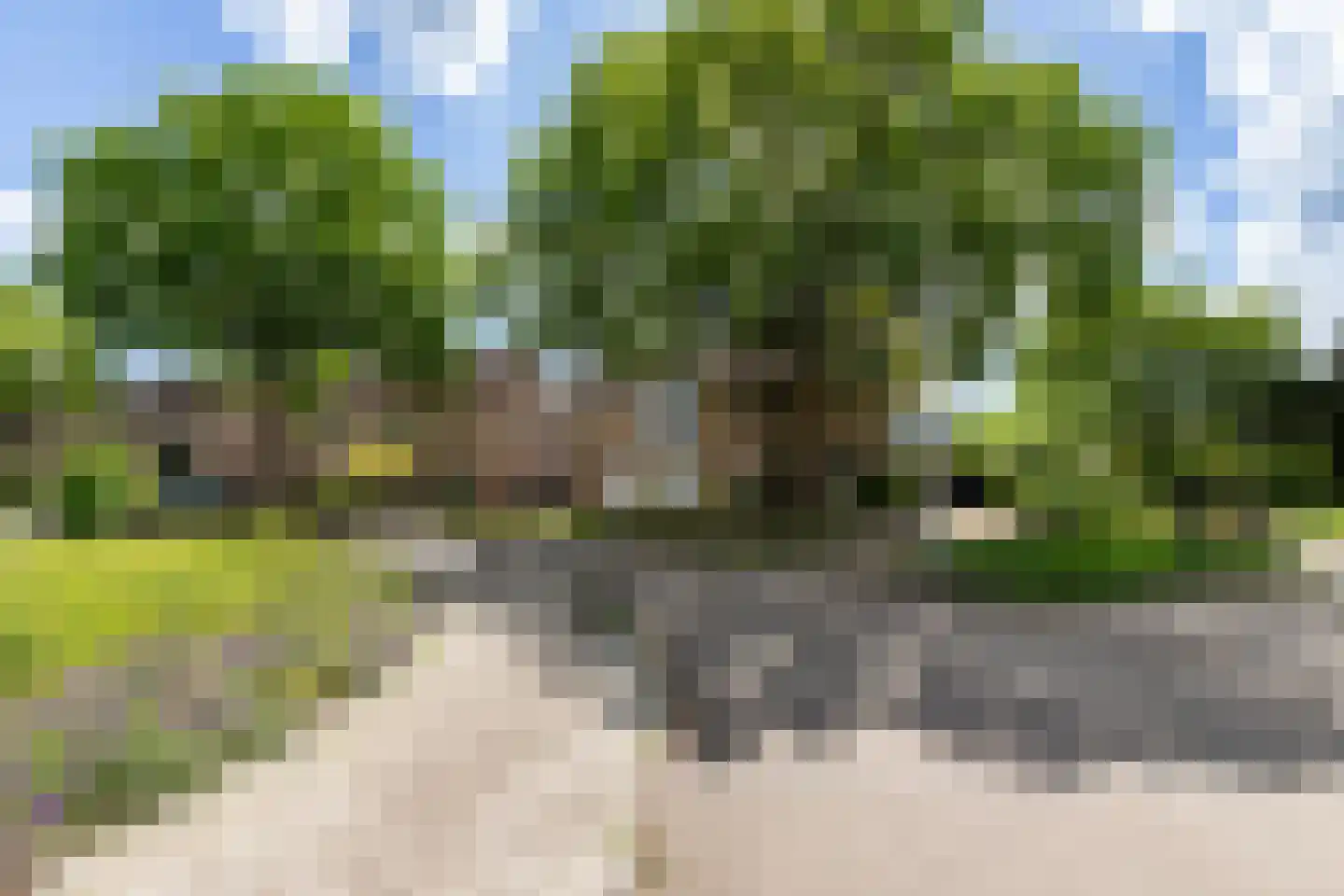 Bachstraat 131 Eerbeek thumbnail 6