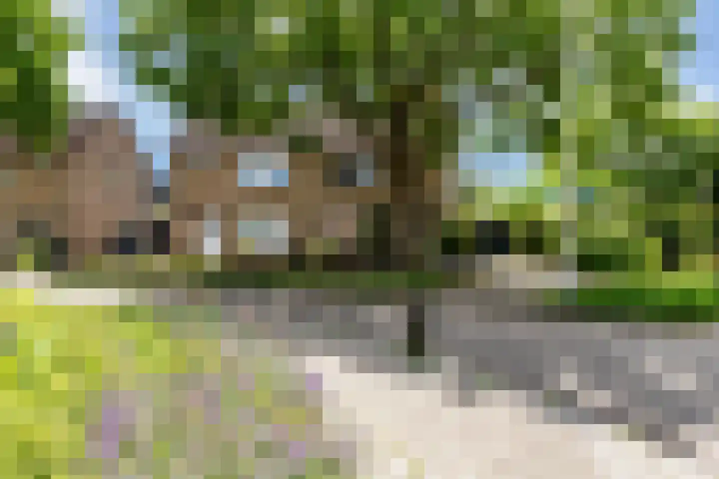 Bachstraat 131 Eerbeek thumbnail 7
