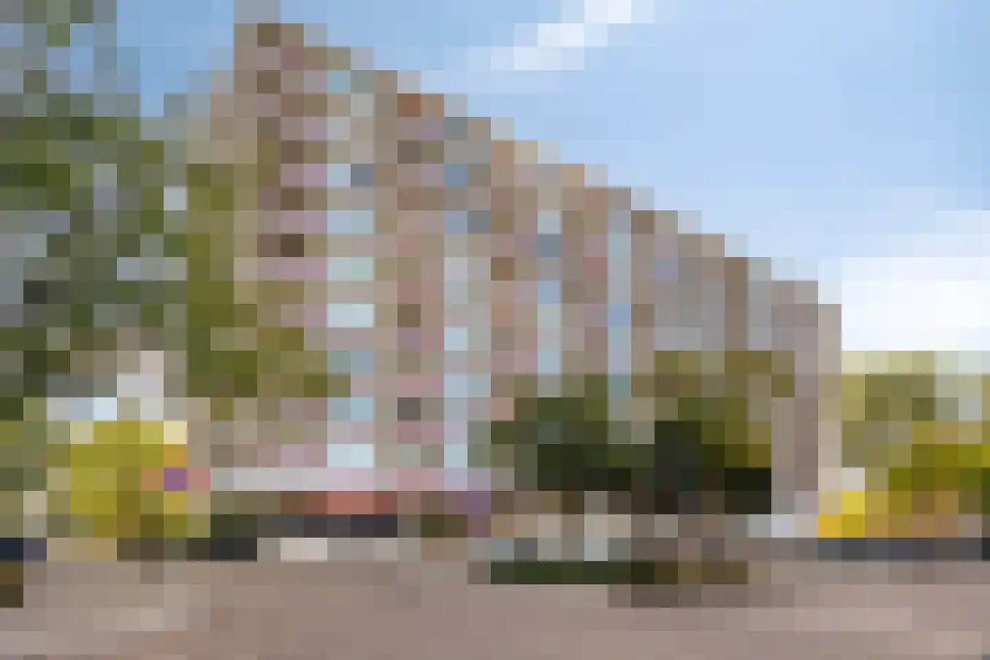 Bachstraat 132 Leiden thumbnail 5