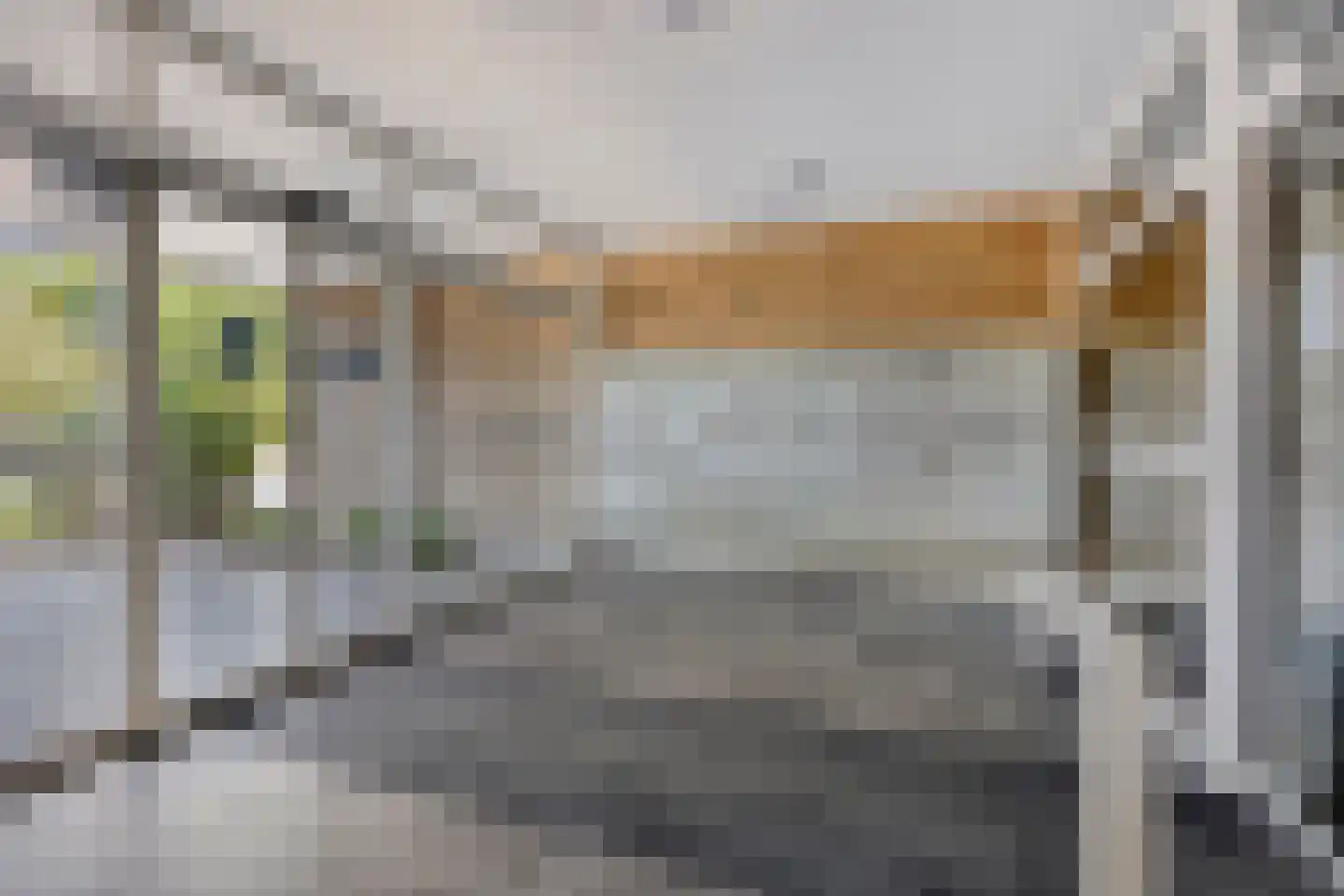 Bachstraat 132 Leiden thumbnail 6