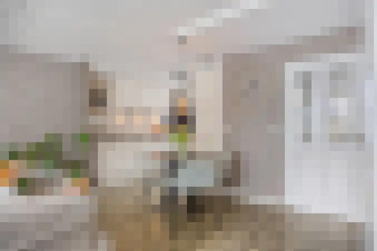 Bachstraat 141 Capelle aan den IJssel thumbnail 10