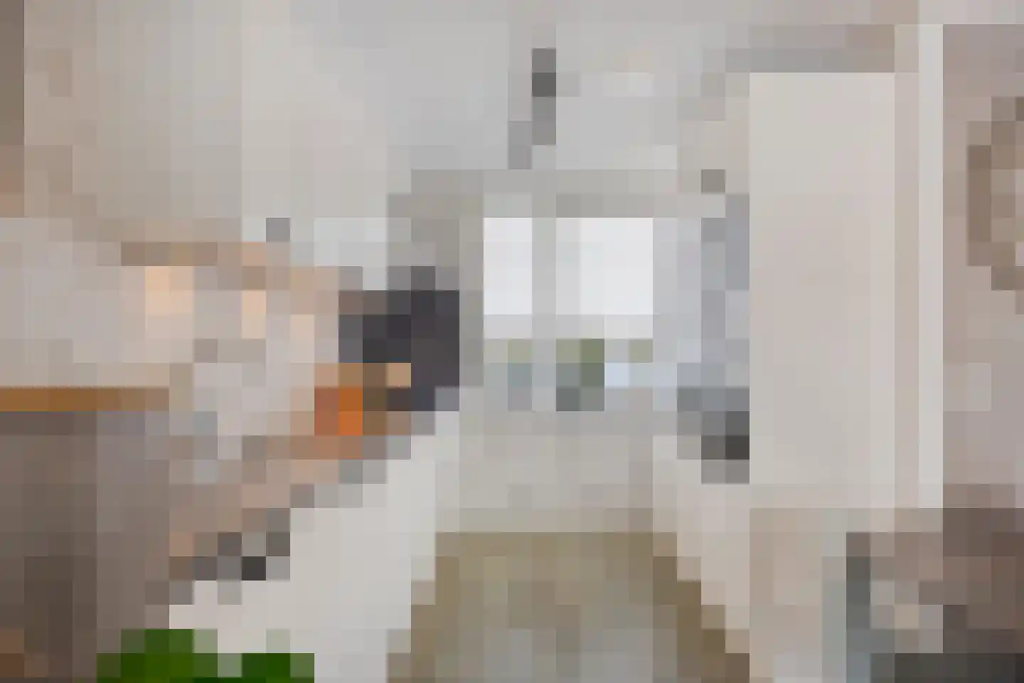 Bachstraat 141 Capelle aan den IJssel thumbnail 11