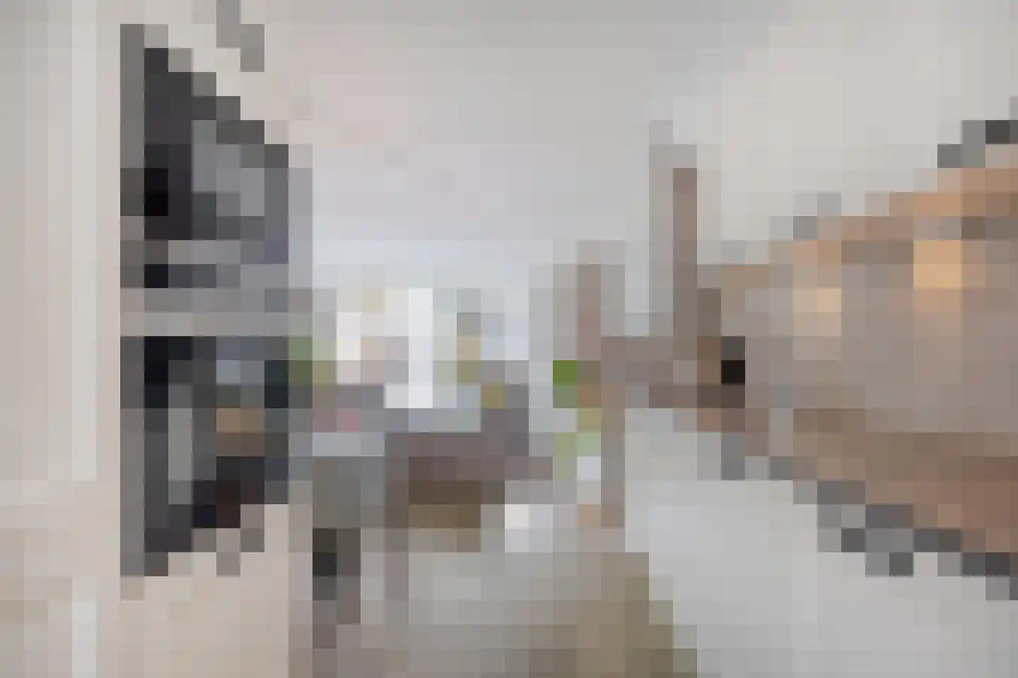 Bachstraat 141 Capelle aan den IJssel thumbnail 12