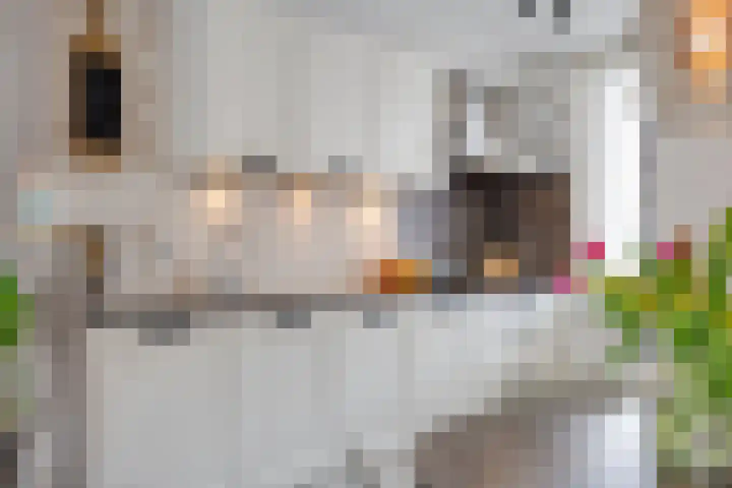 Bachstraat 141 Capelle aan den IJssel thumbnail 17