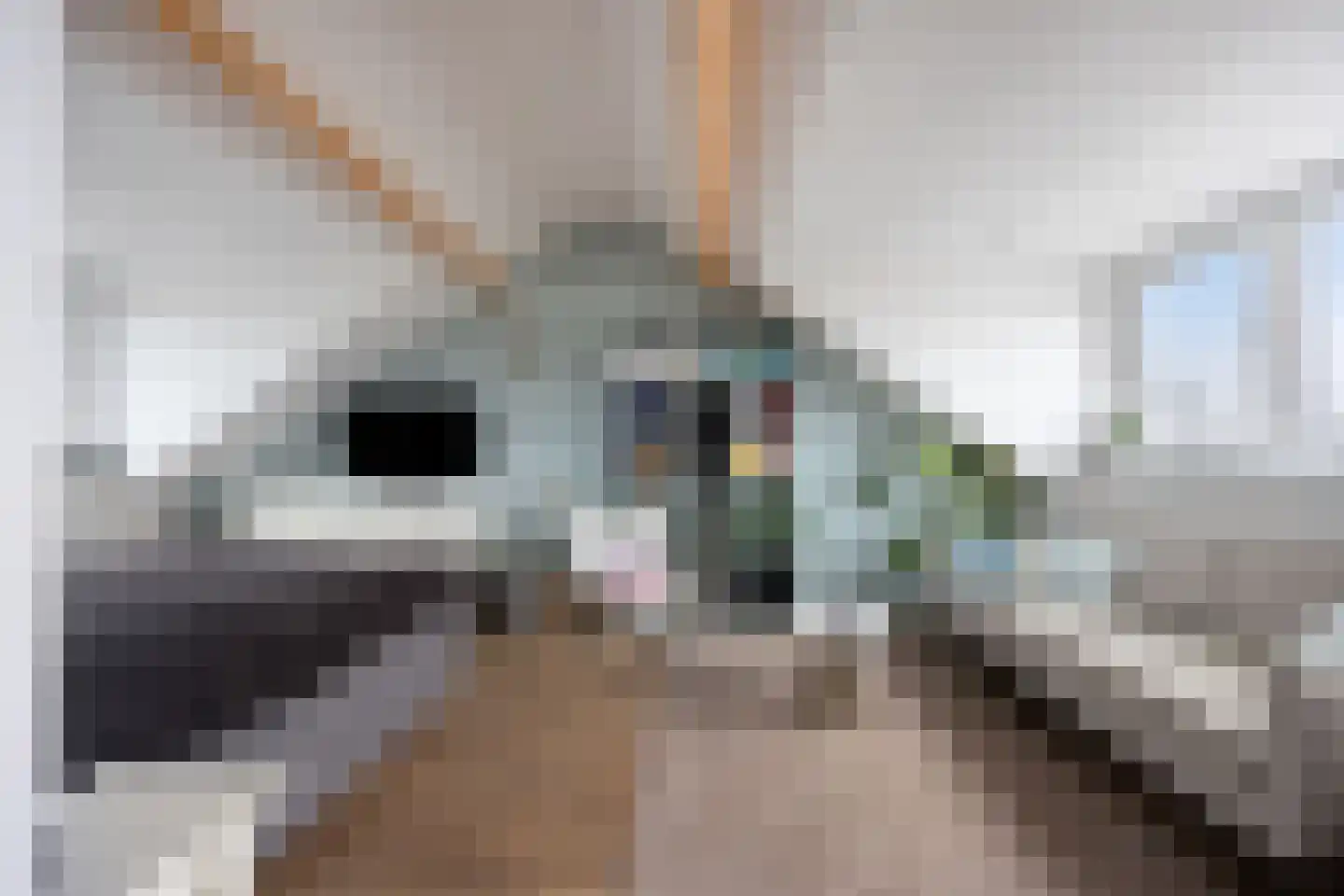 Bachstraat 141 Capelle aan den IJssel thumbnail 36