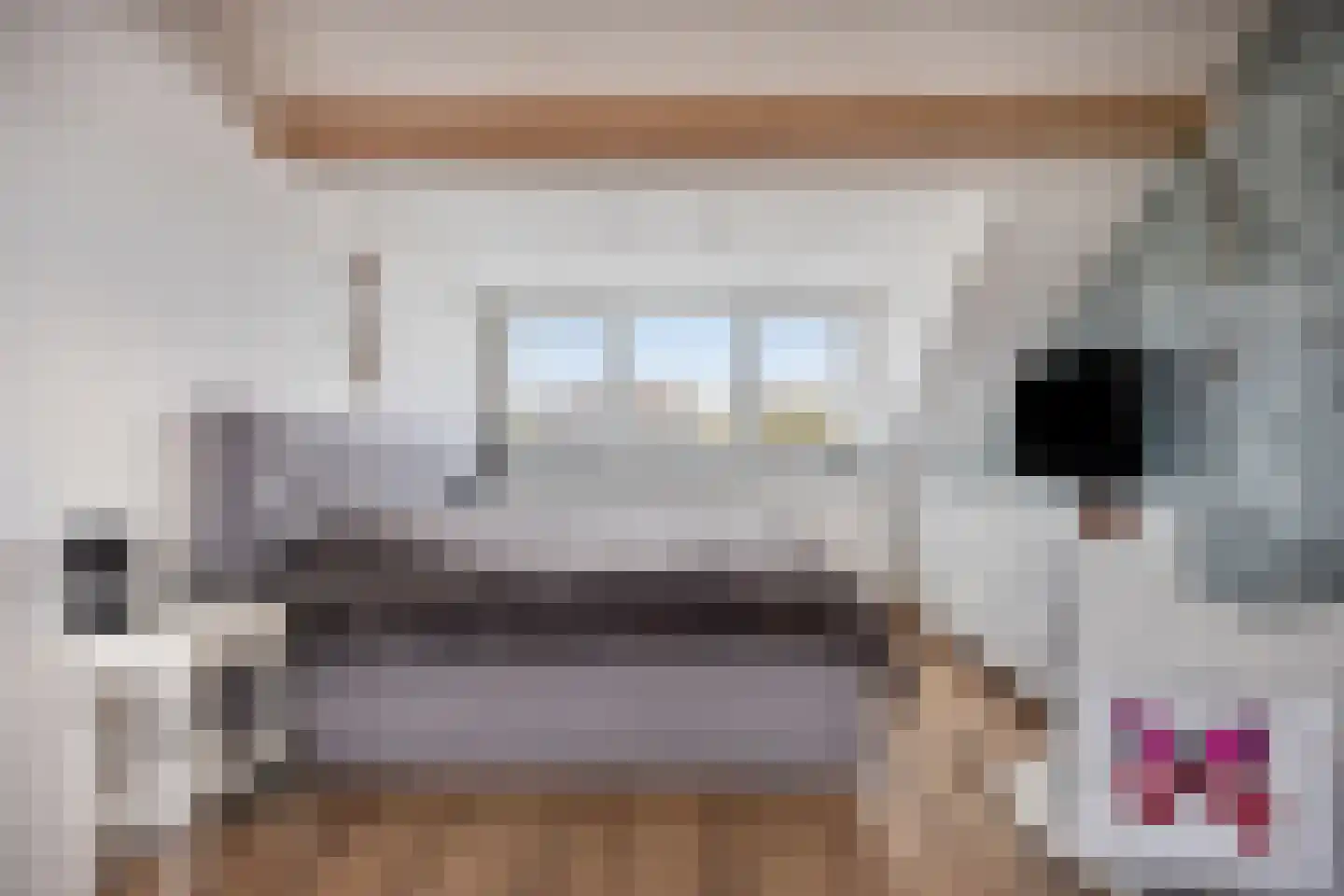 Bachstraat 141 Capelle aan den IJssel thumbnail 37