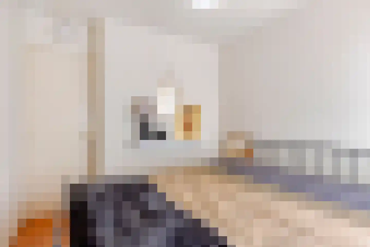 Bachstraat 16 Drunen thumbnail 28