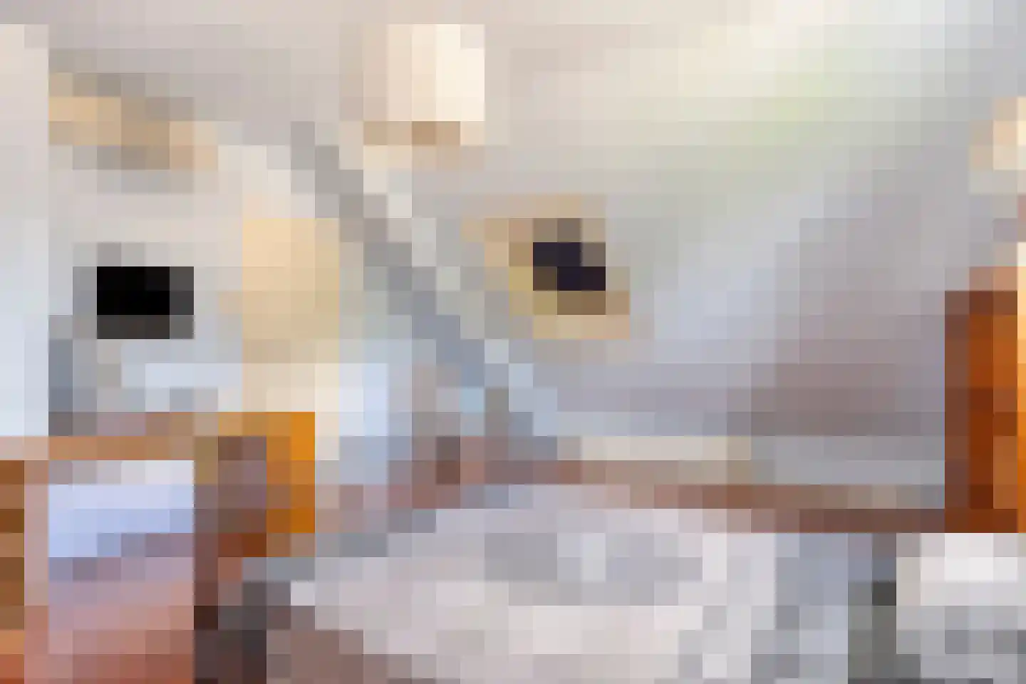 Bachstraat 16 Drunen thumbnail 32