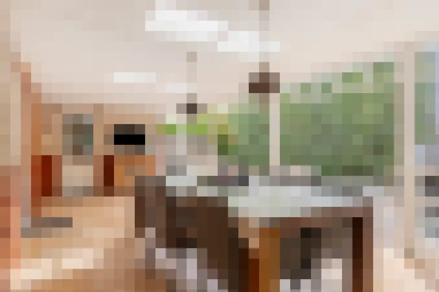 Bachstraat 16 Drunen thumbnail 34