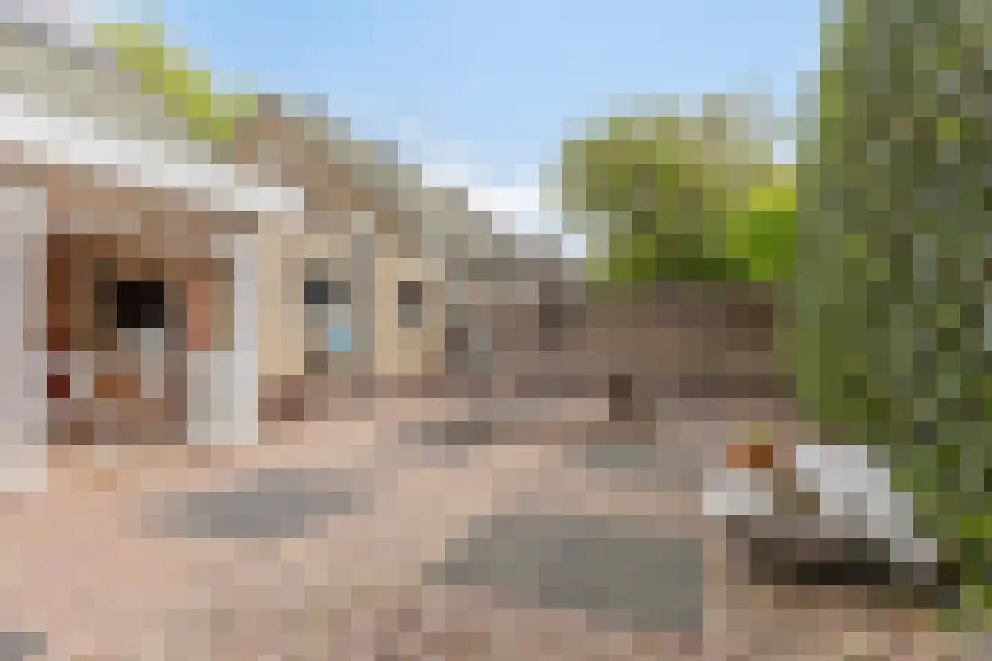 Bachstraat 16 Drunen thumbnail 36