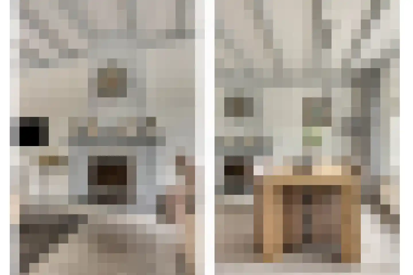 Bachstraat 16 Halsteren thumbnail 10