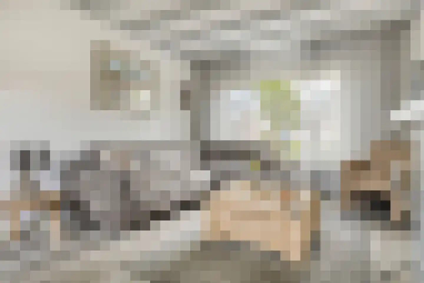 Bachstraat 16 Halsteren thumbnail 11