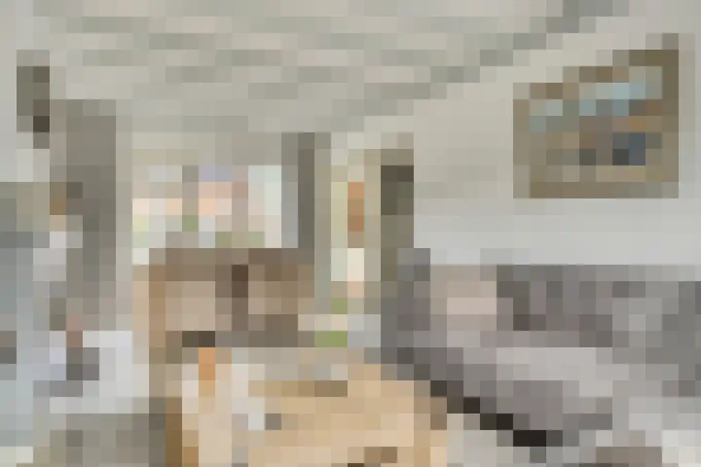 Bachstraat 16 Halsteren thumbnail 12