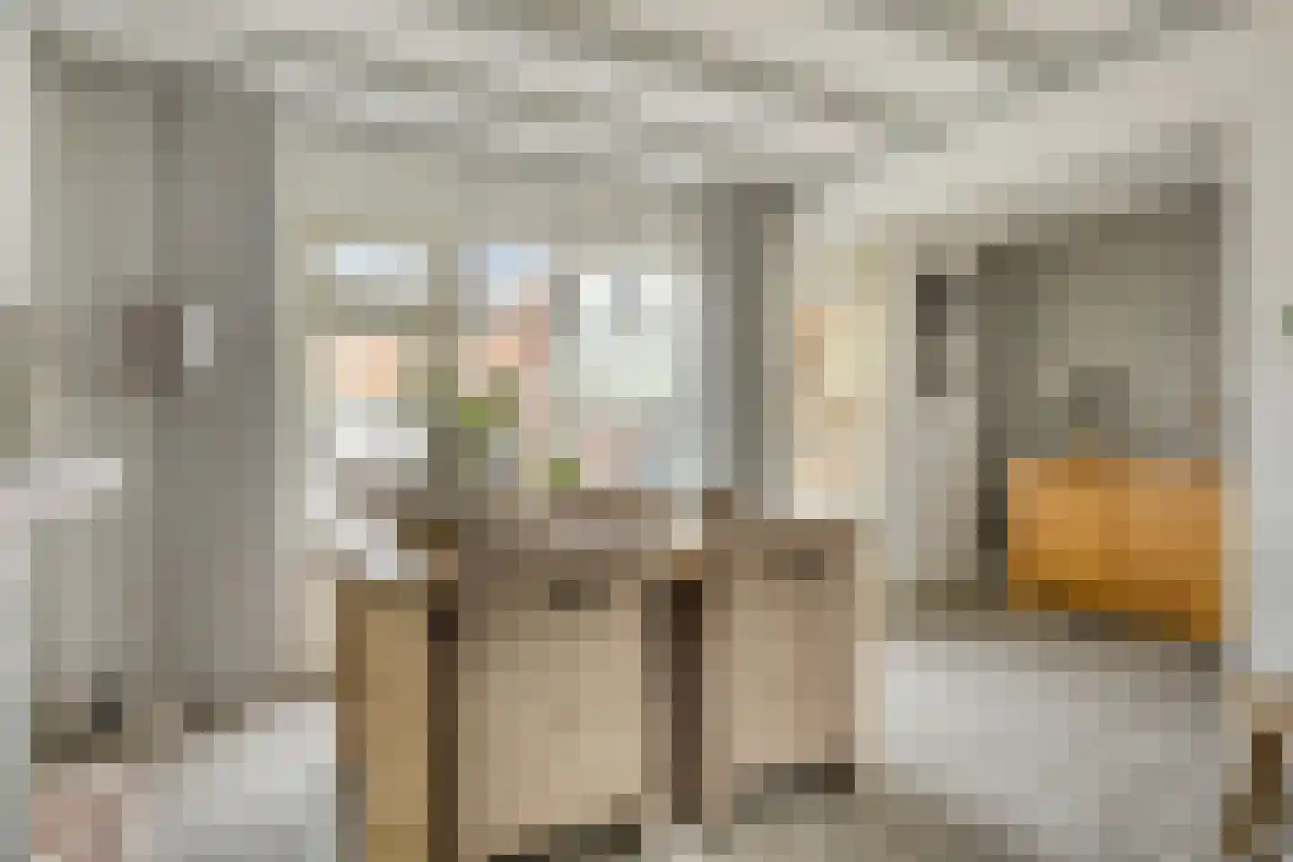 Bachstraat 16 Halsteren thumbnail 13