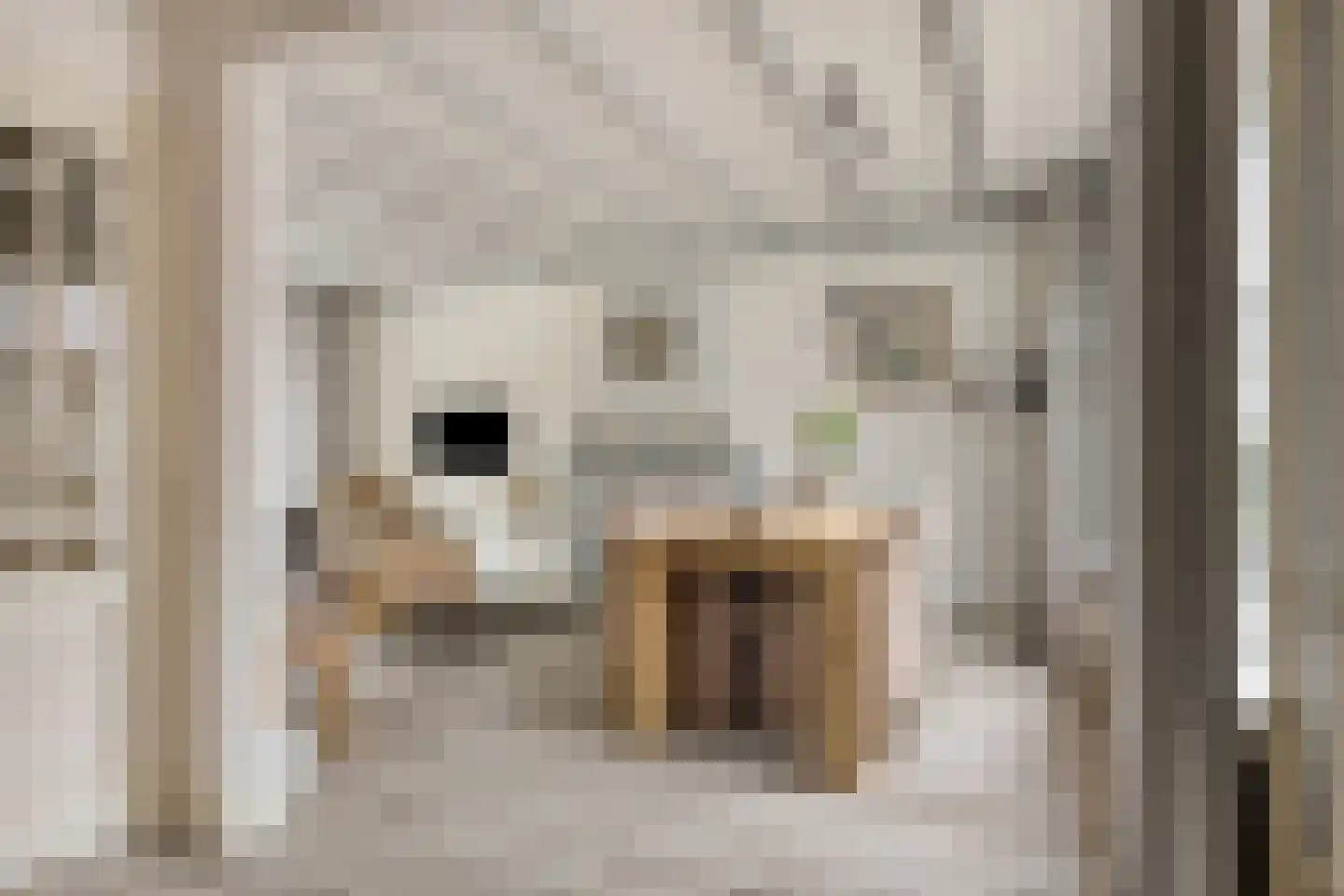 Bachstraat 16 Halsteren thumbnail 14
