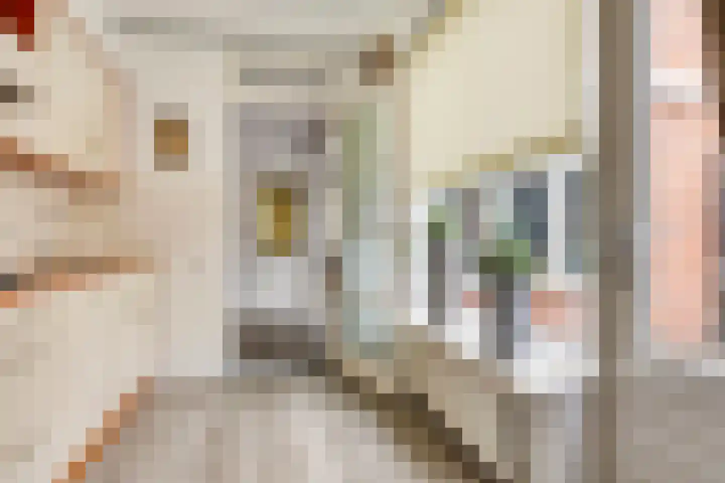 Bachstraat 16 Halsteren thumbnail 15