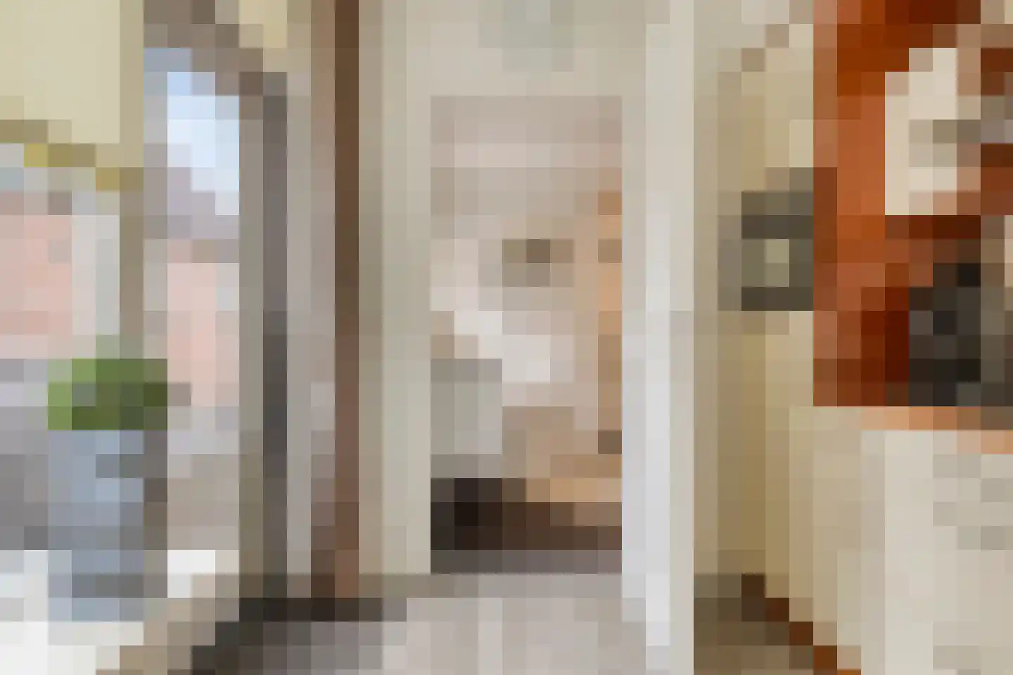 Bachstraat 16 Halsteren thumbnail 18