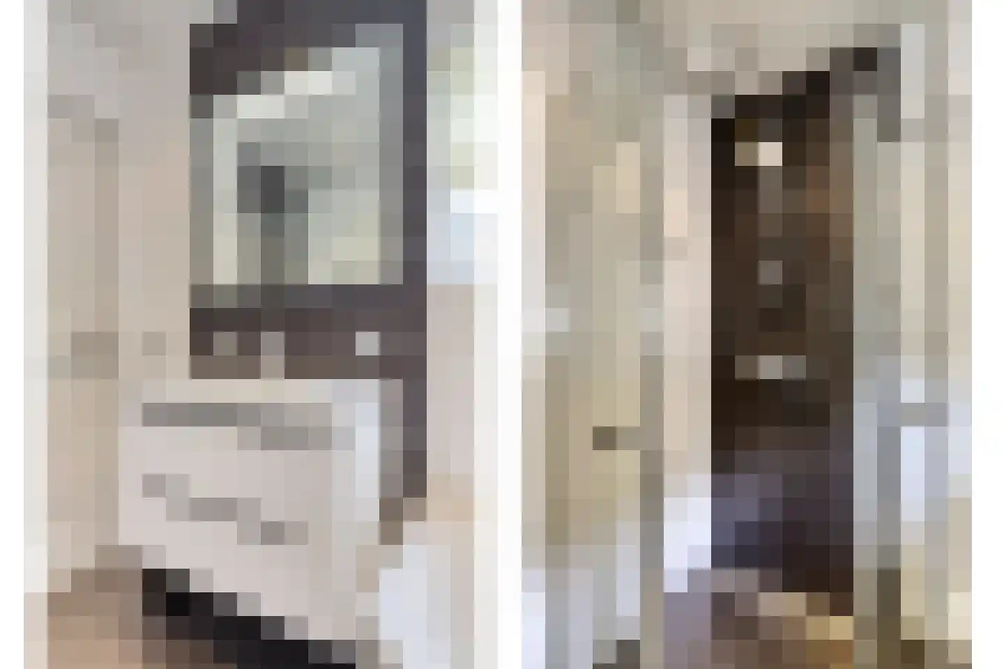 Bachstraat 16 Halsteren thumbnail 20