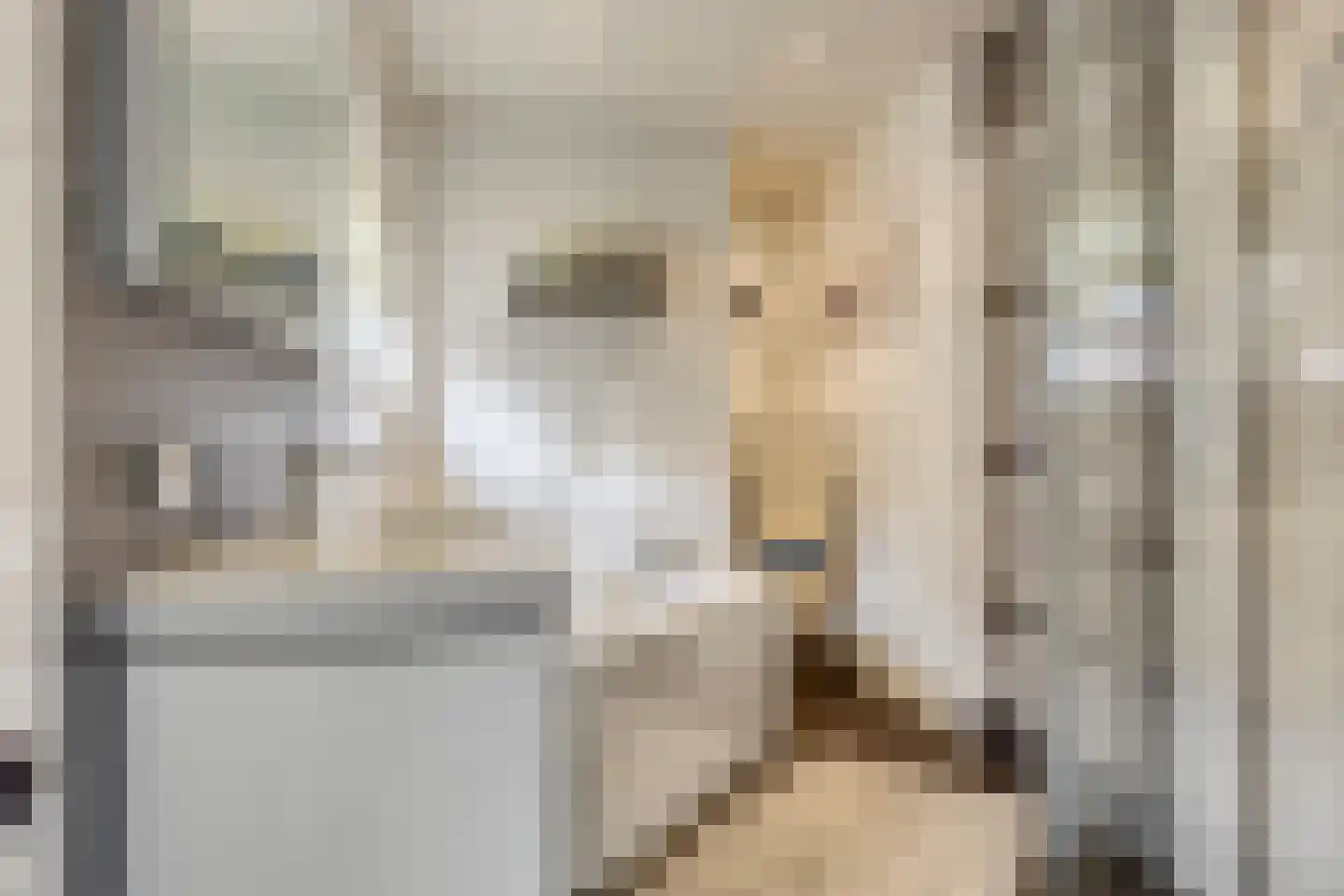 Bachstraat 16 Halsteren thumbnail 21