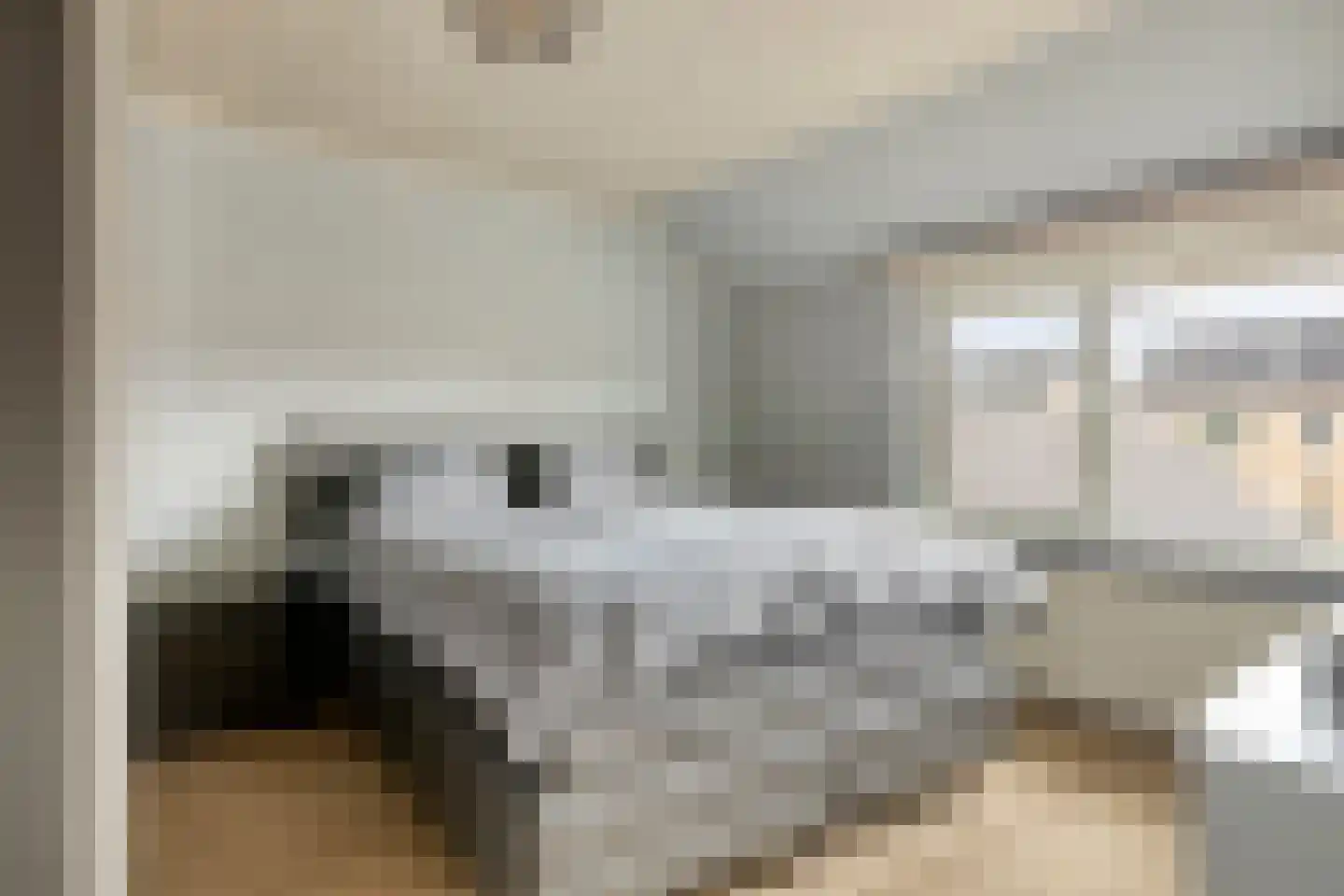 Bachstraat 16 Halsteren thumbnail 24