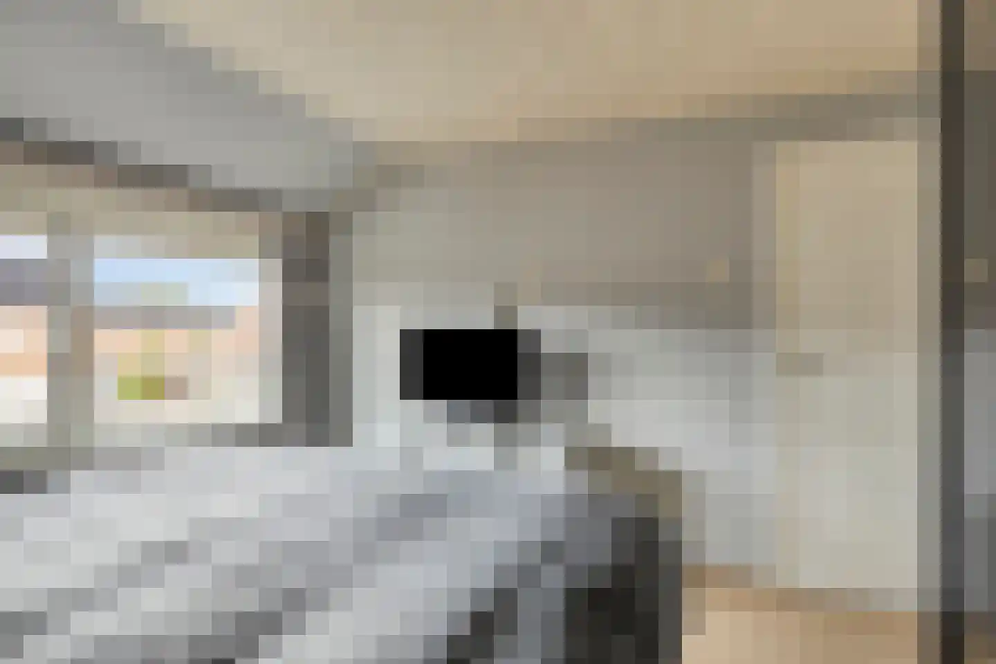 Bachstraat 16 Halsteren thumbnail 26